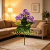 HA5SH2053PU3