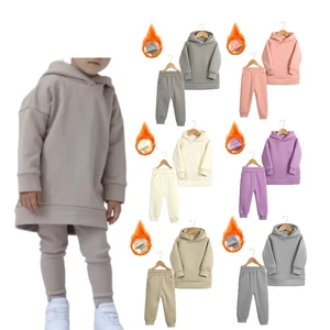Baby Clothing Wholesale Fleece Winter Outfits Solid Cotton Hooded Children's Clothing Kids Sweat Suits Hoodies Sets