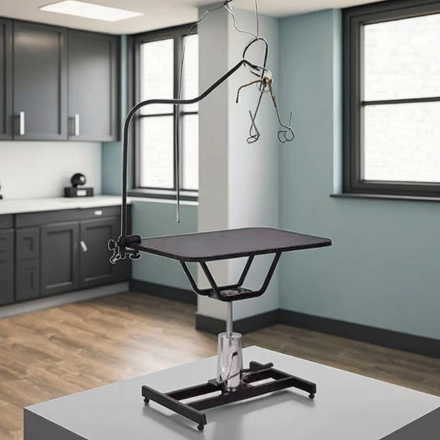 Wholesale Cheap Price Professional Dog Grooming Table Electric  Lifting  Stainless Steel