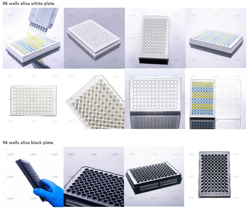 Plastic Sterile Detachable 96 Well Elisa Plate Cell Culture Plate Buy