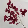 #7 ginkgo biloba leaves