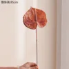 New Orange Palm