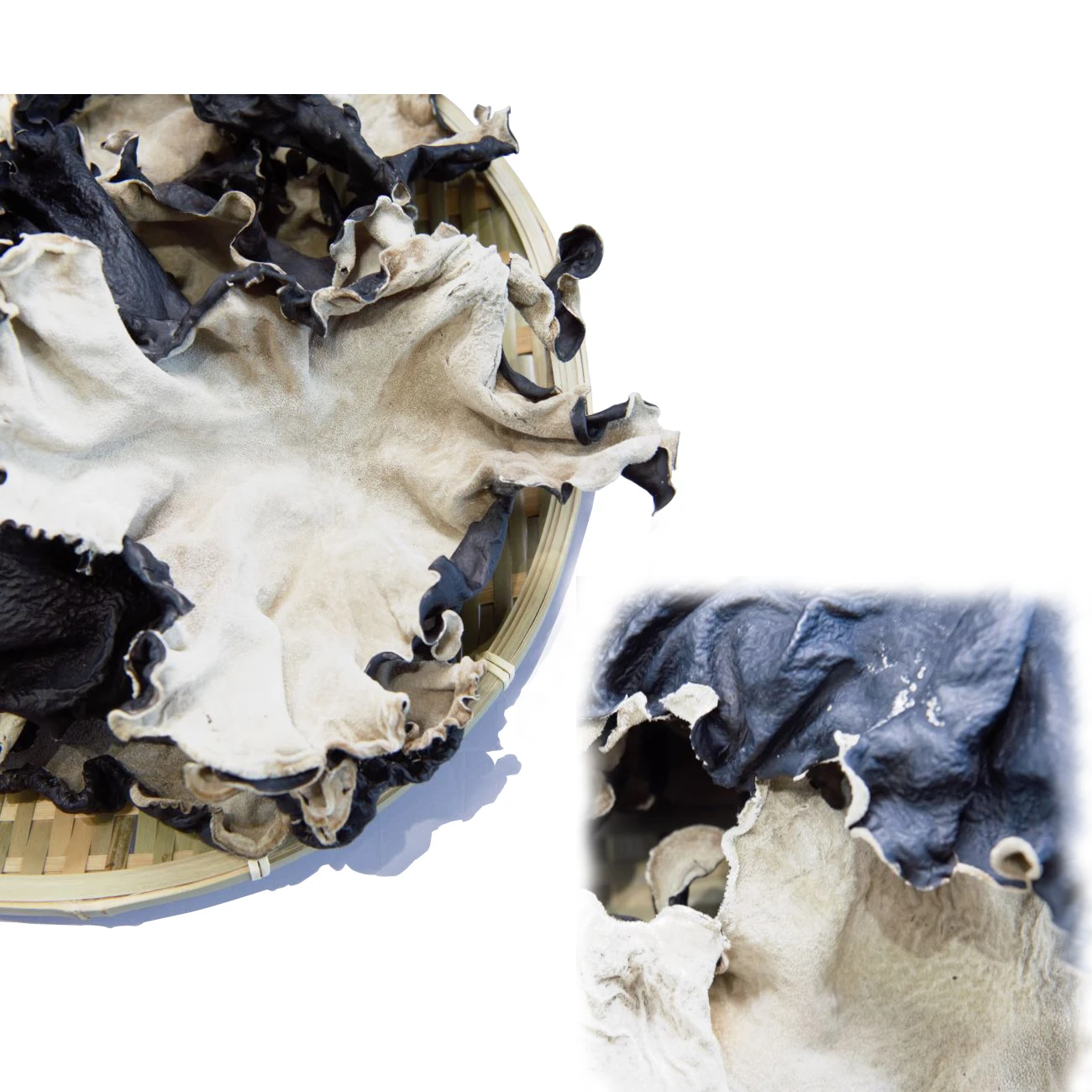 dried white back agaric/black fungus for buyers - buy dried