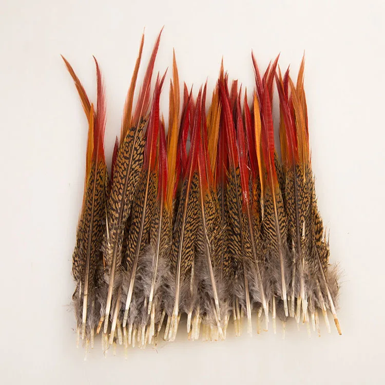 带红色尖端羽毛 - buy plumage,golden pheasant feather,sale