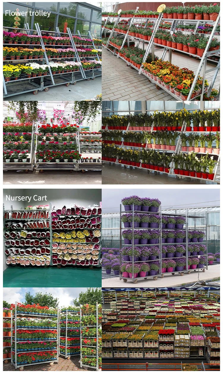Wholesale Greenhouse Trolley Flower Rack Garden Flower Cart Nursery ...