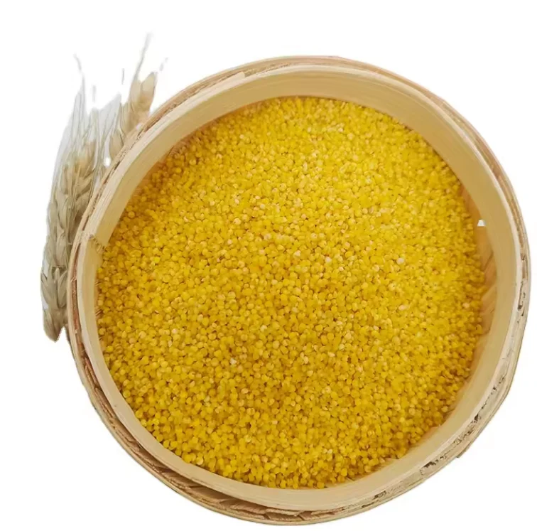 Alibaba.com: 100% natural dried whole yellow millet grains, wholesale ...