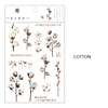 Cotone