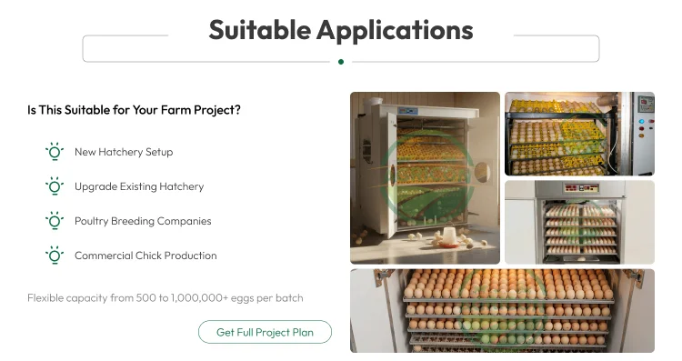 Hatchery Incubator Equipment