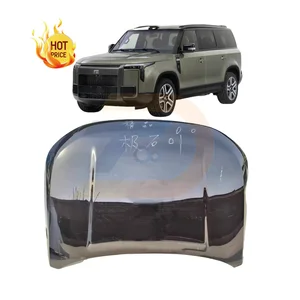 Wholesale New Original Rox 01 Car Accessories Engine Hood Spare Parts for Jishi 01 Bonnet
