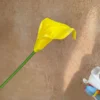 #3 Yellow