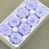 B mei 4-5 violeta claro (8)