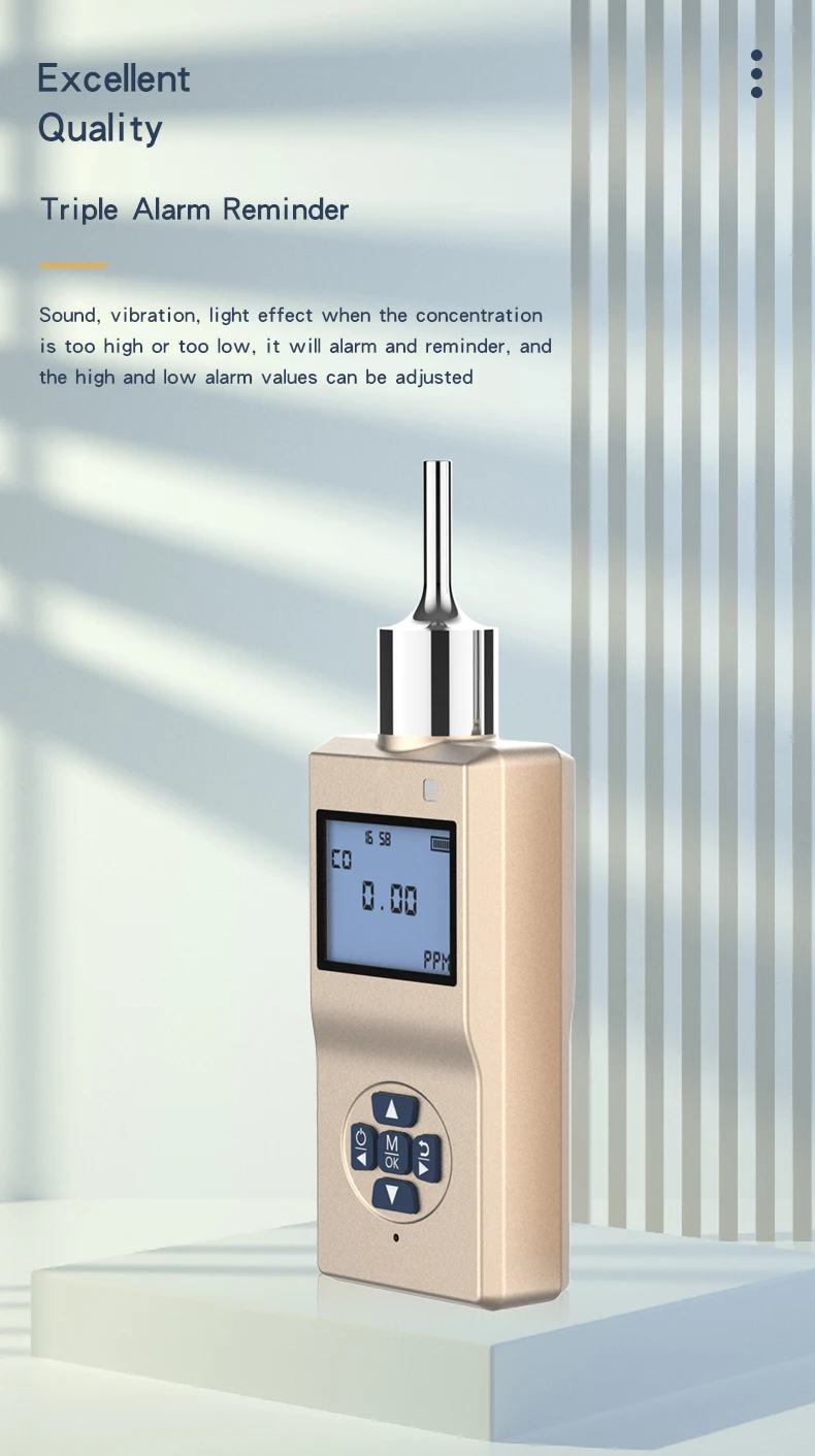 Pumped Co Carbon Monoxide Leak Gas Detection With Sound And Vibration