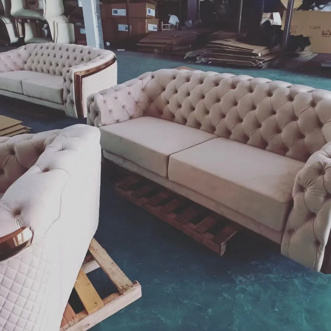 Luxury Home Furniture Sofa With Pillows Stainless Steel Frame Canapes