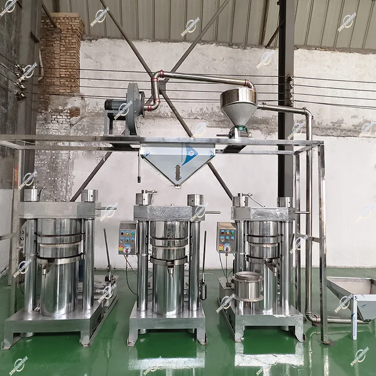 Small Hydraulic Extractor Cocoa Butter Nut Soybean Sesame Peanut Olive Sunflower Seed Mustard Avocado Oil Cold Press Machine