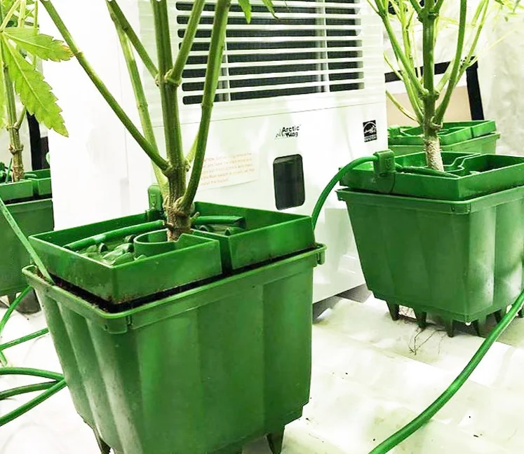 Гидропонные зеленые пластиковые горшки для выращивания растений, горшки для выращивания кастрюль из кастрюли, горшки для выращивания растений в теплицах/комнатах для выращивания