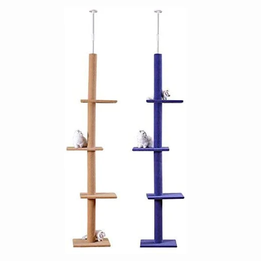 tall cat climbing tree