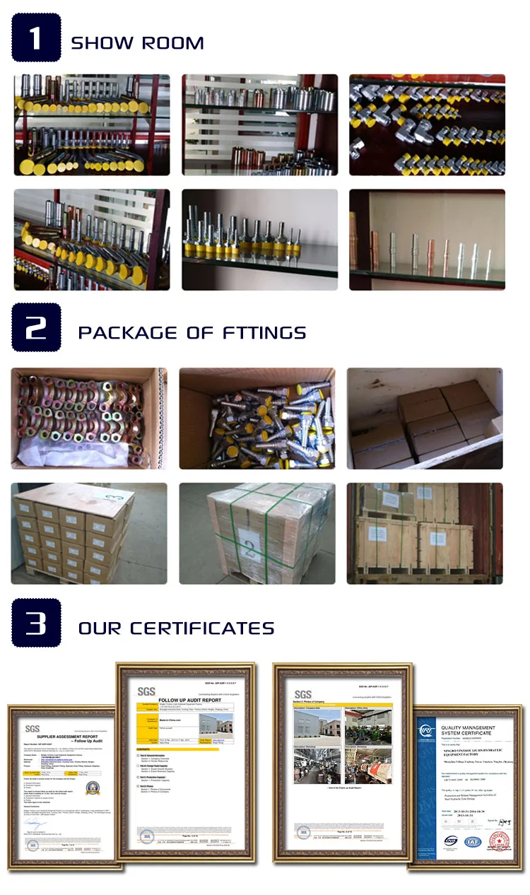 Female hose fittings factory direct supply hydraulic pipe fitting