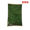 Large gray moss - green grass