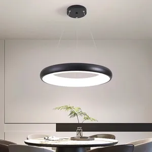 Modern Nordic Style 48W LED Ring Lighting High Performance Iron Chandelier for Living Room Bedroom Hanging Remote Control