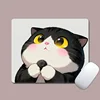 Gato gordito 0880