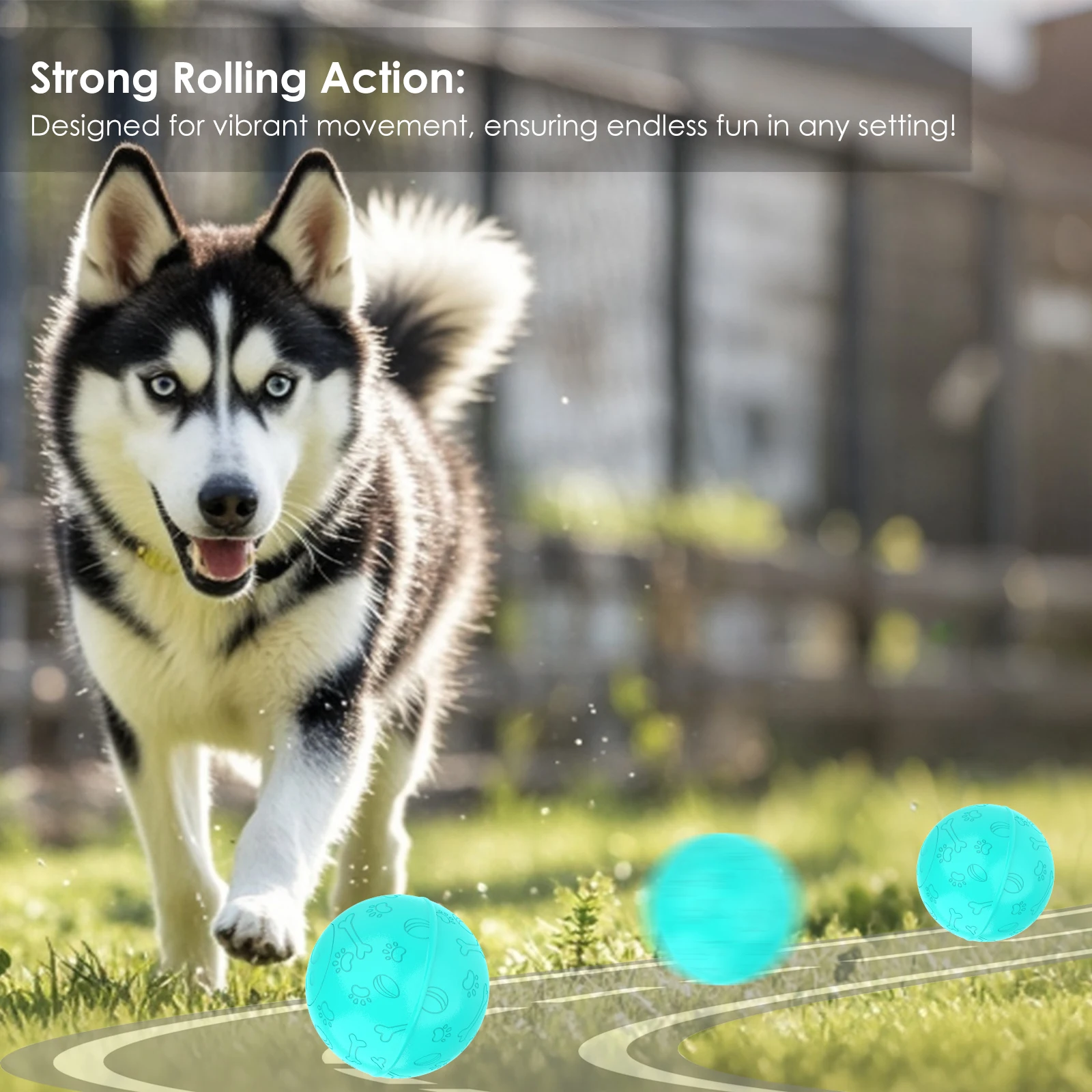Robust Self-Rolling Plastic Ball Toy Fashionable Interactive Pet Sex Toy for Cat and Dog Play