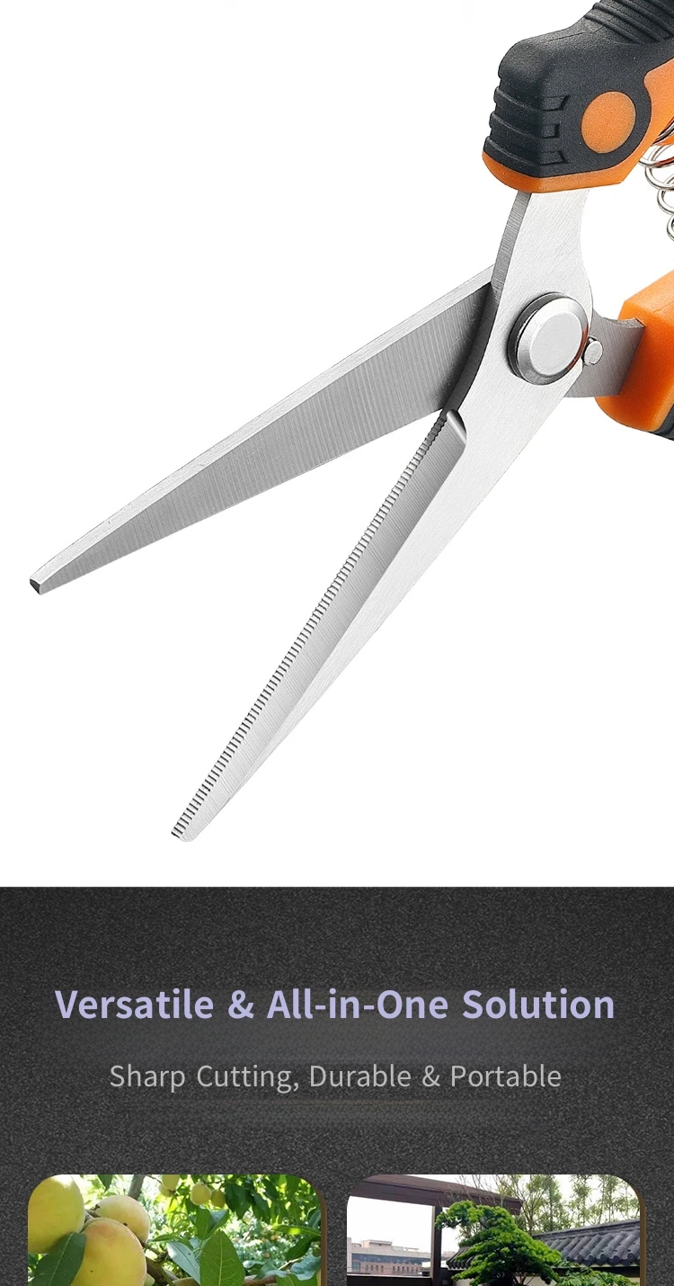 Grape harvesting scissors