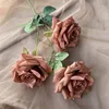 3-Head Diamond Rose Deep Coffee