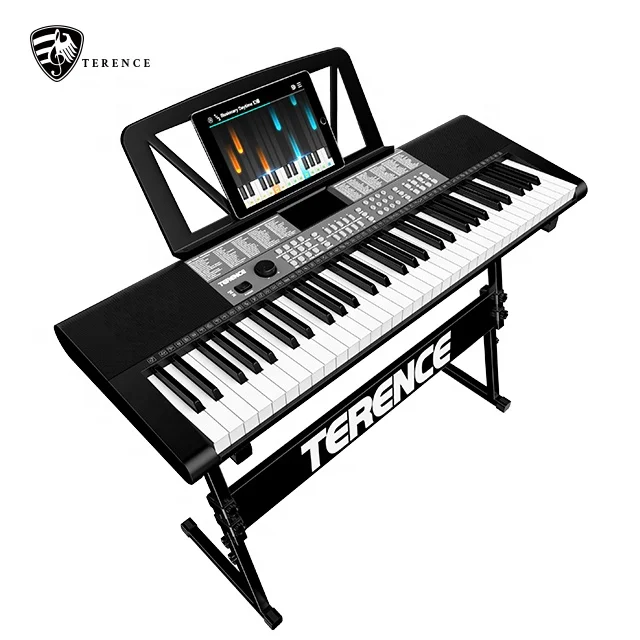 Terence SP611 Chinese Piano - 61 Key Educational Keyboard