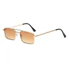 Gold Frame / Gradient Brown Lens
