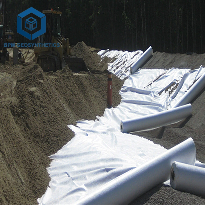 Soil Stabilization Geotextile Fabric Polyester Filament Continuous Geotextile Filter Cloth 200g 250g Geo Fabric for Driveway