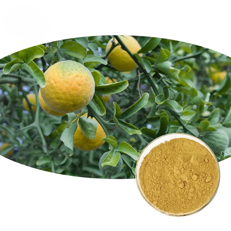 Wholesale High Quality Pure Natural Improve Immunity Citrus Aurantium Extract Powder Buy