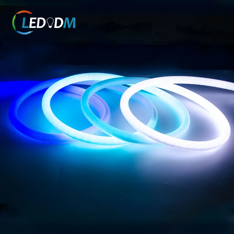 DC12v 24v Ws2811 Addressable Pixel Colorful RGB Neon Round 260 Angle Beam Strip Light 5m 10m Neon Led Flexible Strips Lights