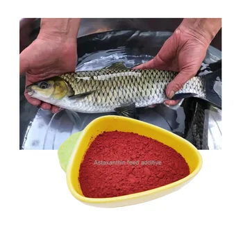 1% Biosynthetic Astaxanthin Strong Antioxidant Nutritional Value Aquatic Feed Additive For Promoting Fish Growth Aquaculture