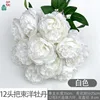 Bouquet de 12 têtes de pivoine blanche