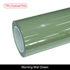 TPU-Morning Mist Green