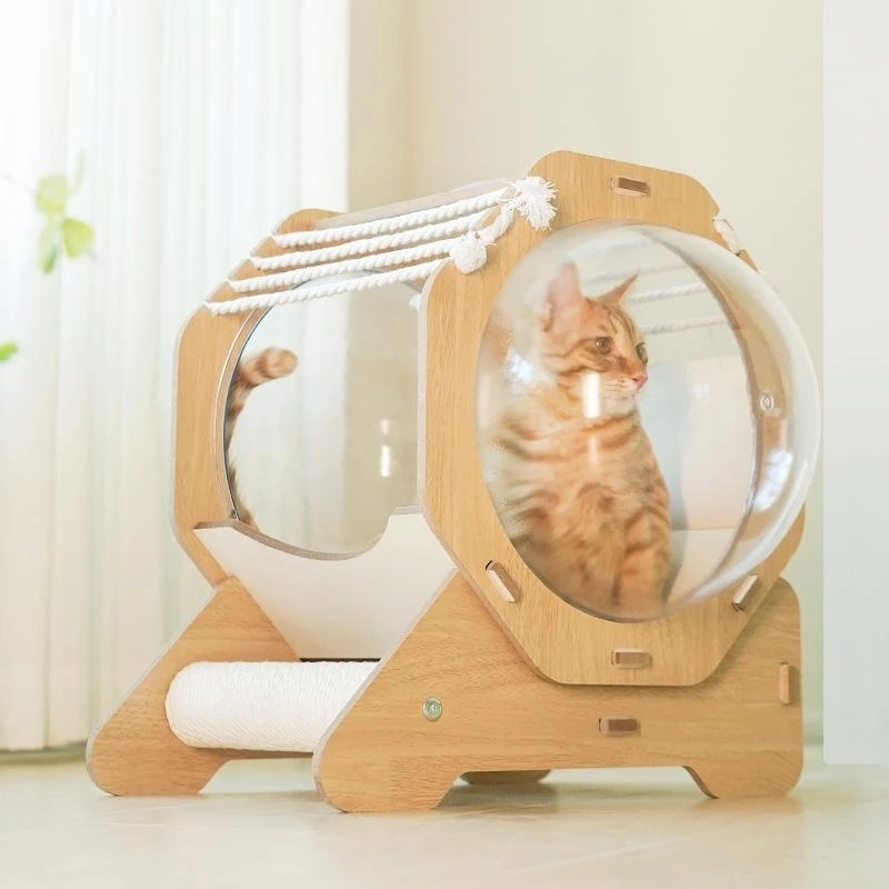 New Round Capsule cat Nest 360° No Dead Angle Bilateral Space Capsule cat Nest Portable Portable cat Nest Grasp Board cat Bed supplier