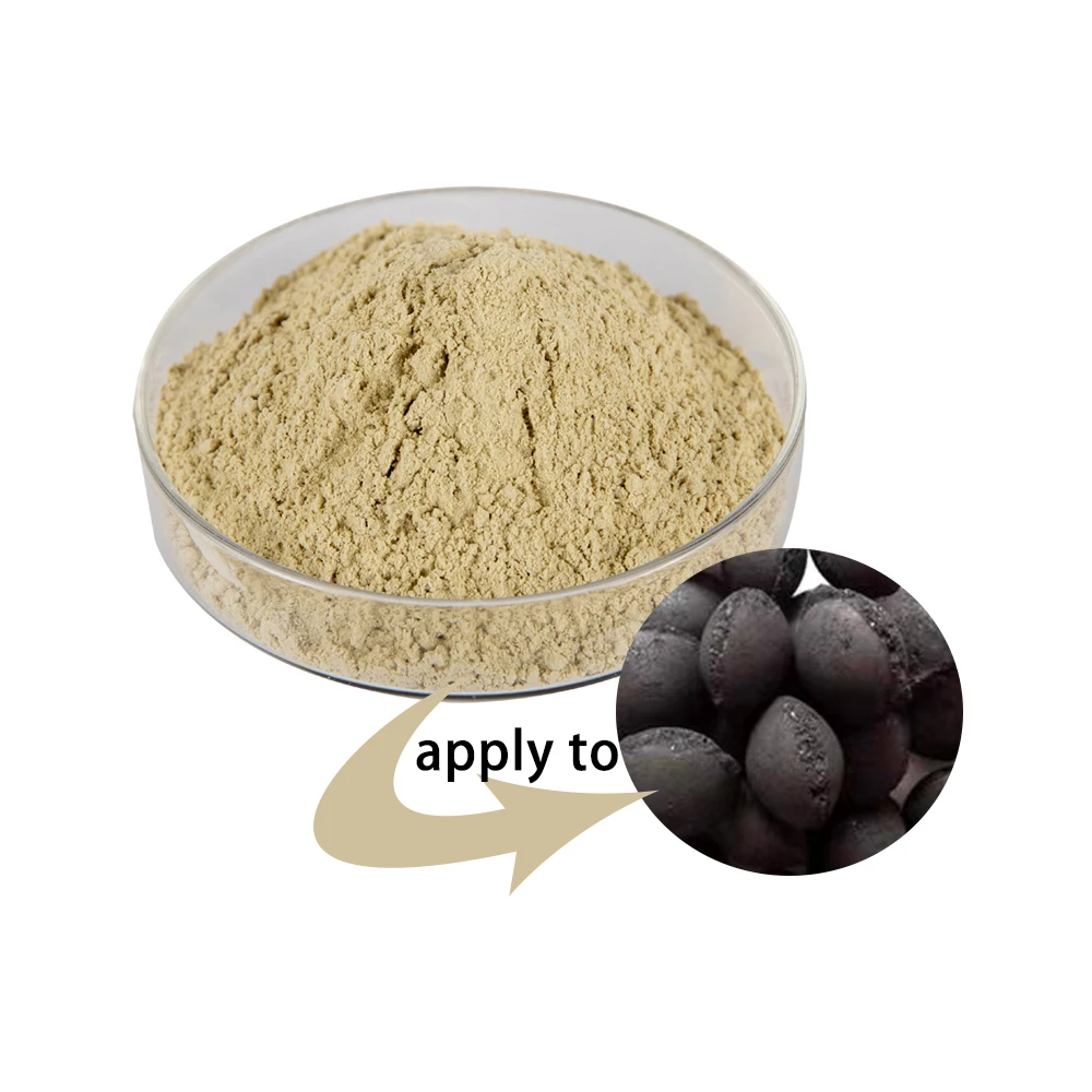 Is Apricot Or Prunus Armeniaca Toxic to Cats?