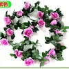 Rosa de nueve cabezas violeta claro