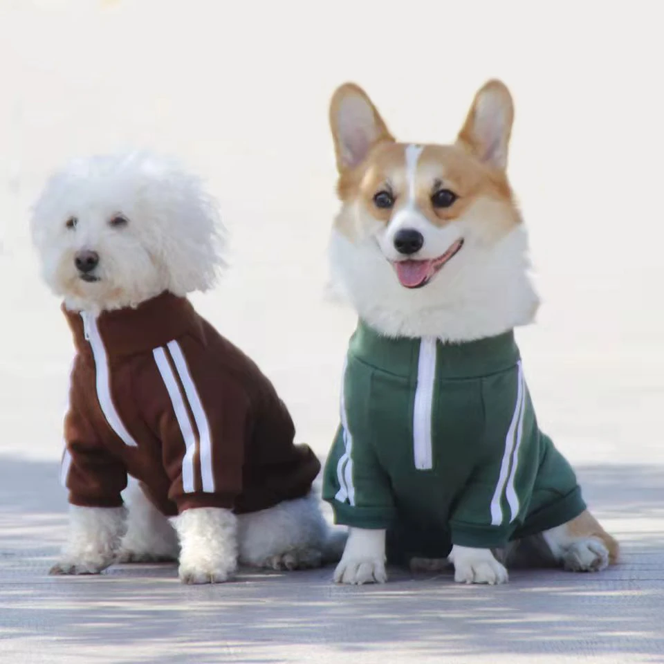 Pet Clothing Premium Supplies Dog Clothing Luxury Clothing Buy