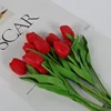 #7 rosso 1