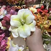 Pu abierto tulipán blanco verde