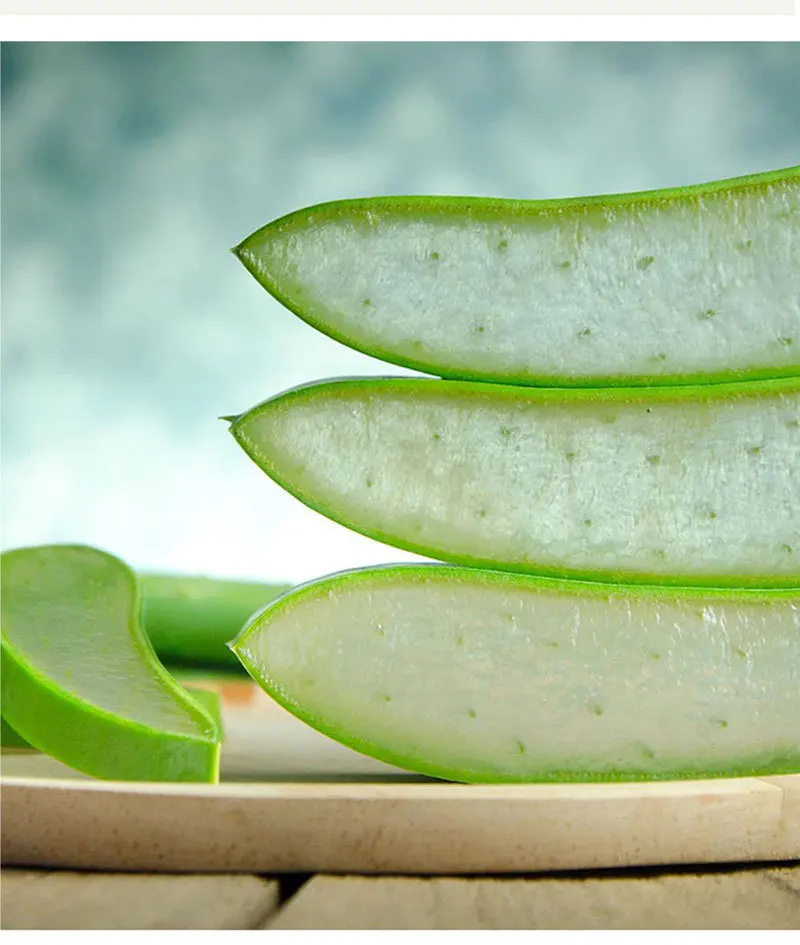 aloe gel vera