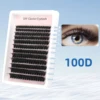 100 วัน