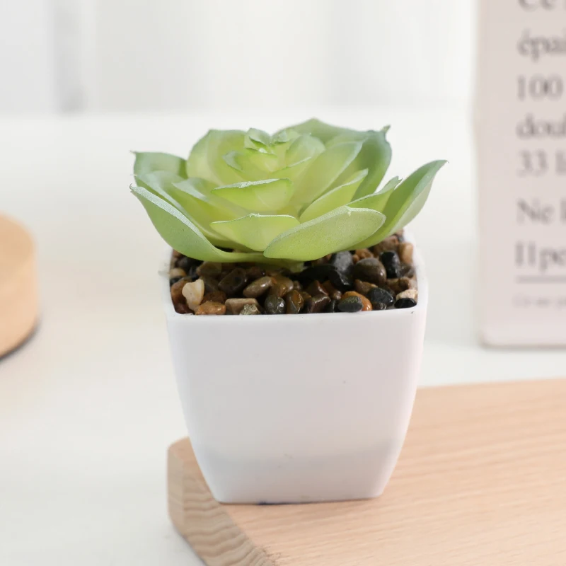 Indoor Outdoor Artificial Plants - Wholesale Succulents