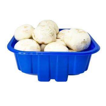 Custom Wholesale High Quality  Mini Food Grade Disposable Plastic Packaging Box for Fruit Vegetable Mushroom