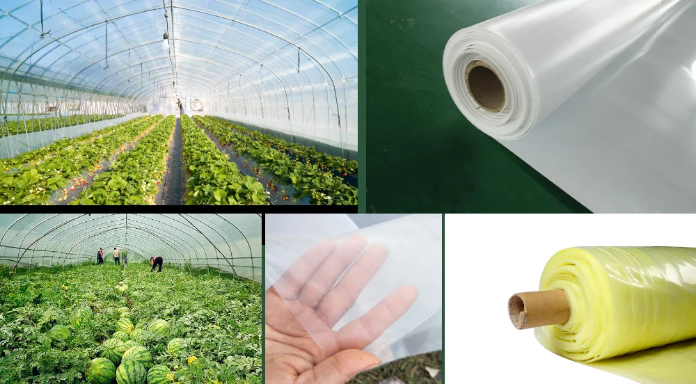Greenhouse Covering