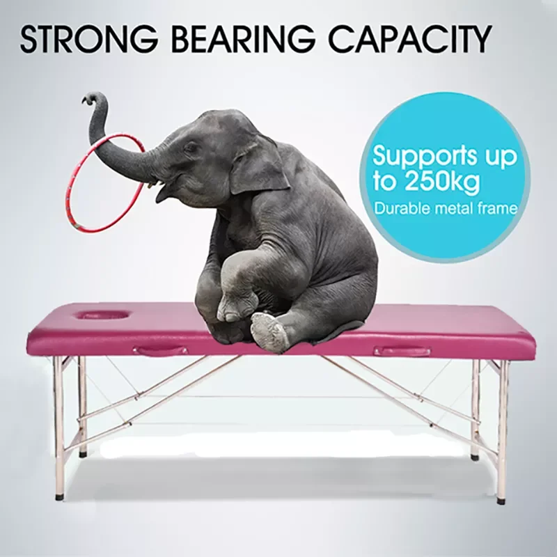 Beautiful Price Spa Table Adjustable Portable Ceragem V3 Massage Bed Korea