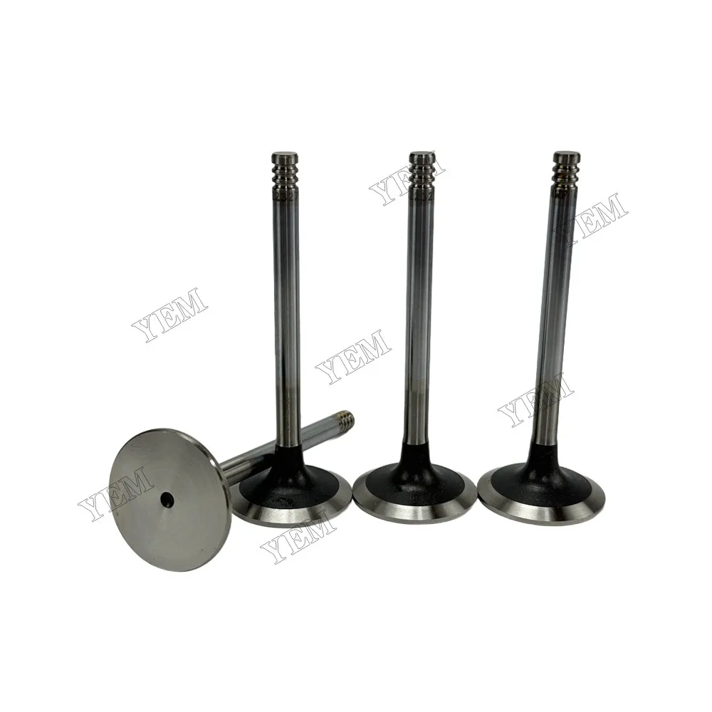 Intake Valve Fit for Deutz TD2.9L4 Engine
