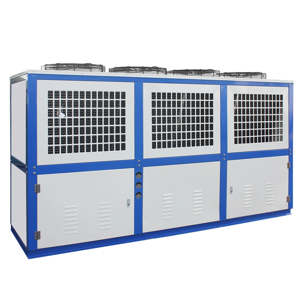 Condensing Unit, 220 V, 2*460w - detail 12