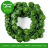 Green Begonia Leaves